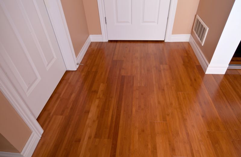 Bamboo Floor Refinishing