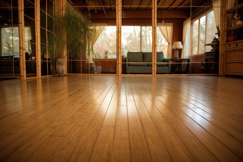 Bamboo Floor Refinishing