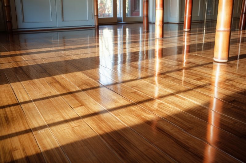 Bamboo Floor Refinishing